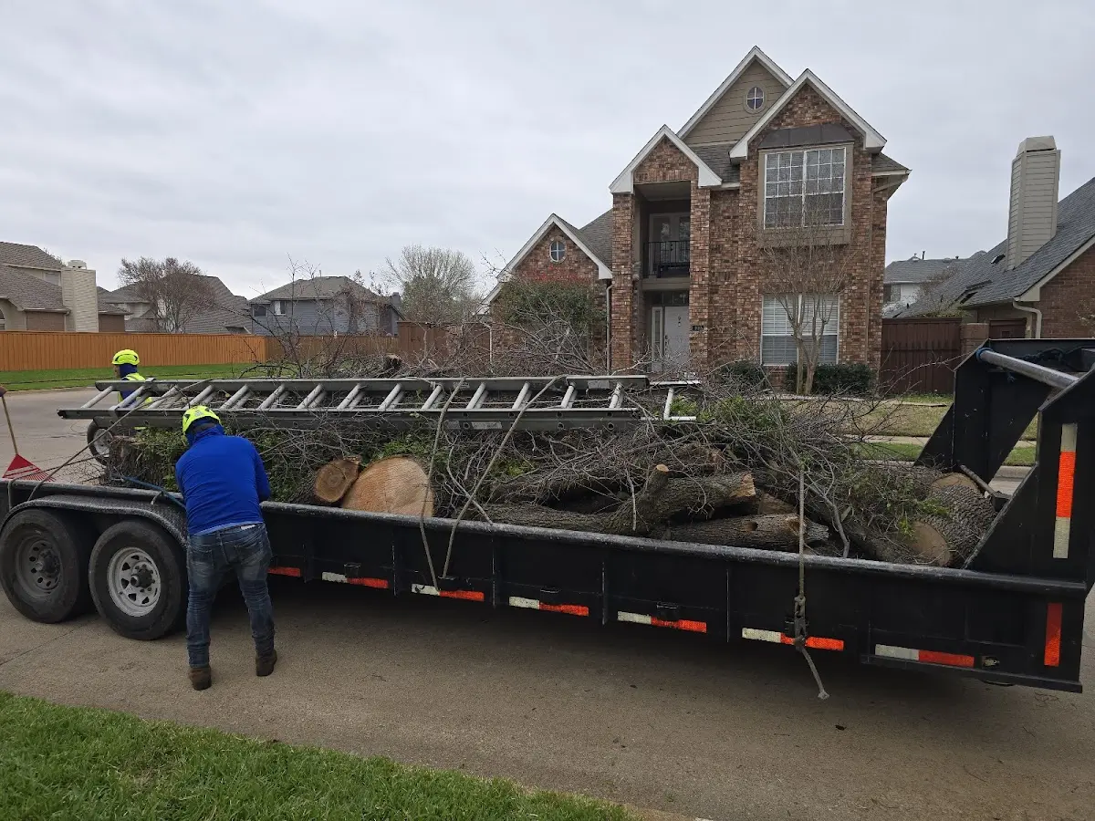 Expert Tree Fertilization with proper safety equipment in Dike